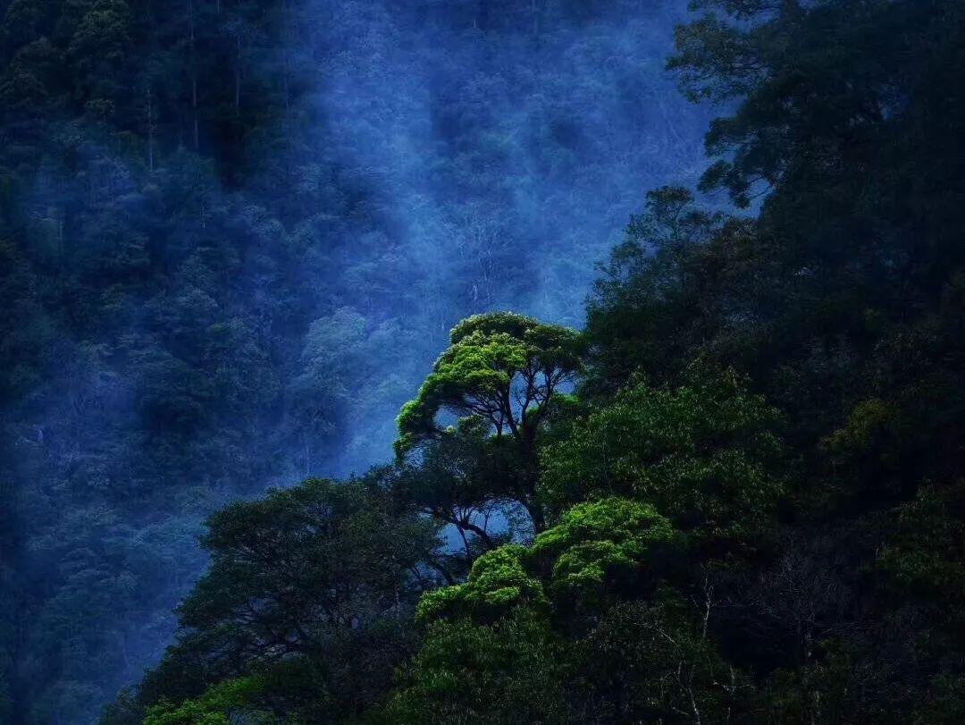聪明的850-379-121简便算法脱式?-蜗牛问答平台